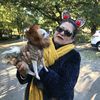 Tompkins Square Dog Park Halloween Parade Is Back On, Baby!